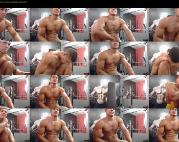 teddyfit19cm