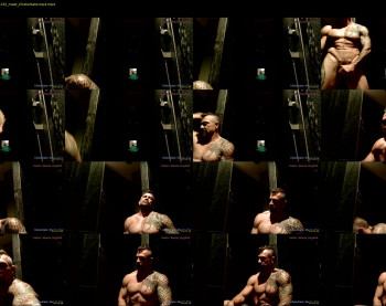 muscle_dog