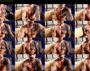 muscle_dog