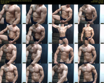 bestmuscle