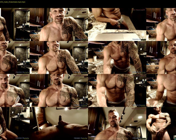 muscle_dog