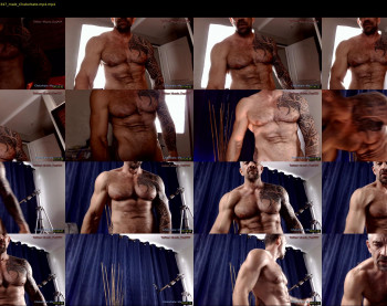 muscle_dog