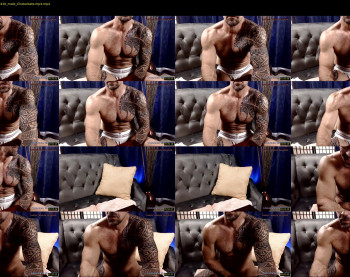 muscle_dog