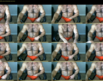bullbud1972