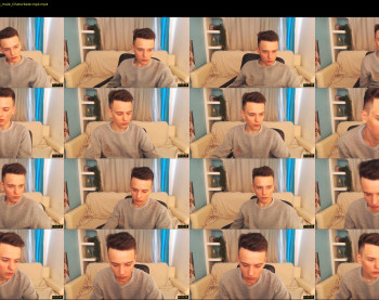 felix_fox