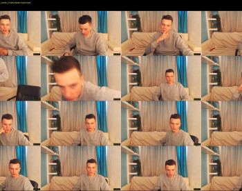 felix_fox