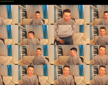 felix_fox