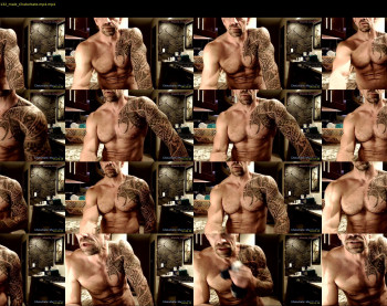 muscle_dog
