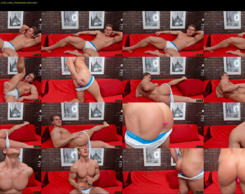 steevemuscle