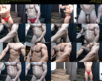 bestmuscle