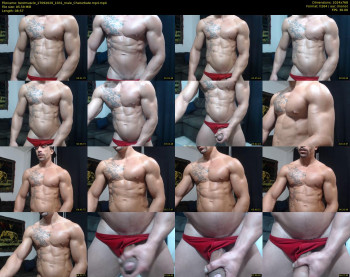 bestmuscle