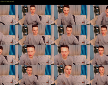 felix_fox