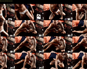 muscle_dog