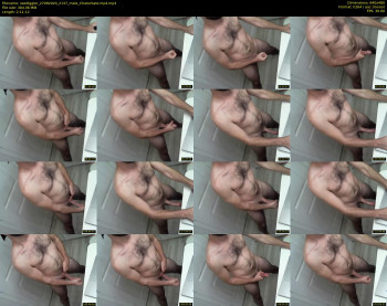 sxediggler