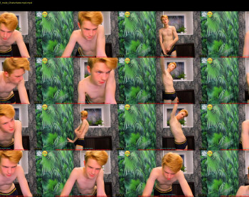 teo__guy