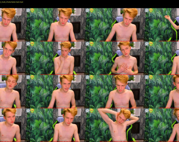 teo__guy