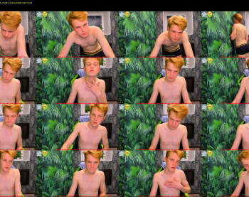 teo__guy