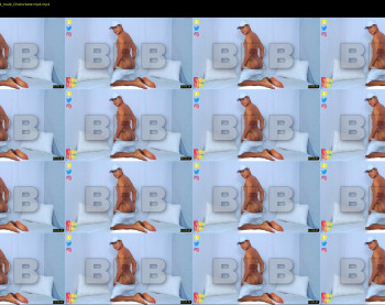 aron_rex