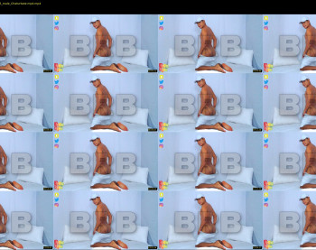 aron_rex