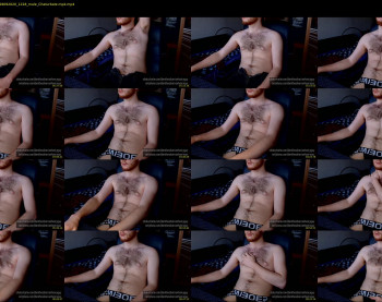 denthesiberianhairyguy