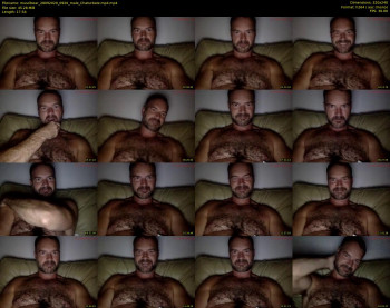 musclbear