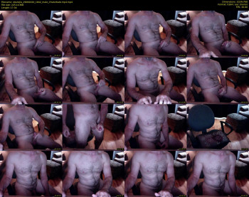 steviejla