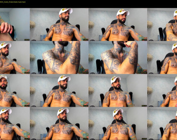 dominic_fox