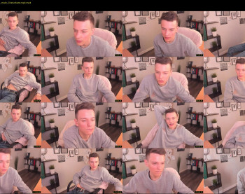 felix_fox