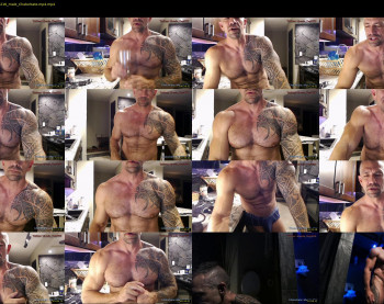 muscle_dog