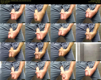 stallion8nyc