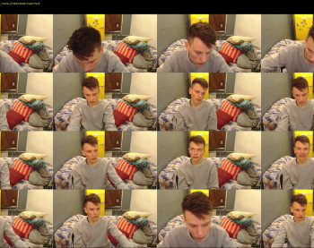 felix_fox