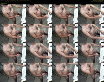 sxediggler