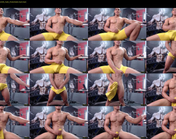 teddyfit19cm