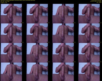 horsehungstud882