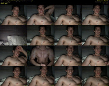 noobgains
