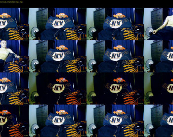 stoner394