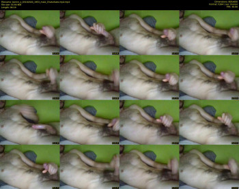 bennn_x
