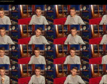 felix_fox