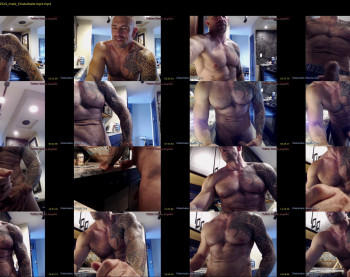 muscle_dog