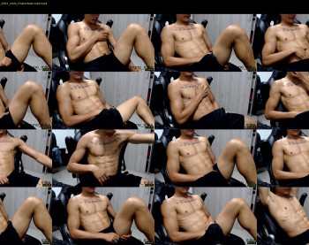 brunocuttie94