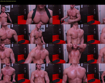 steevemuscle