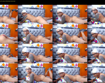darell_bears