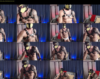 muscle_dog