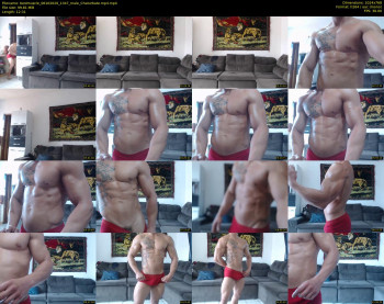 bestmuscle