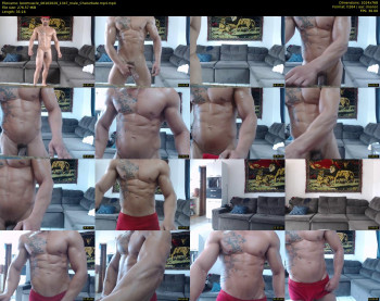 bestmuscle