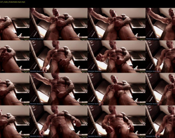 muscle_dog
