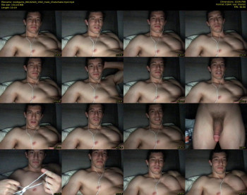 noobgains