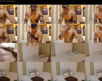 teddyfit19cm