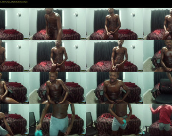 mrthirdlegg312