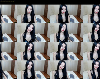 evasisi_01